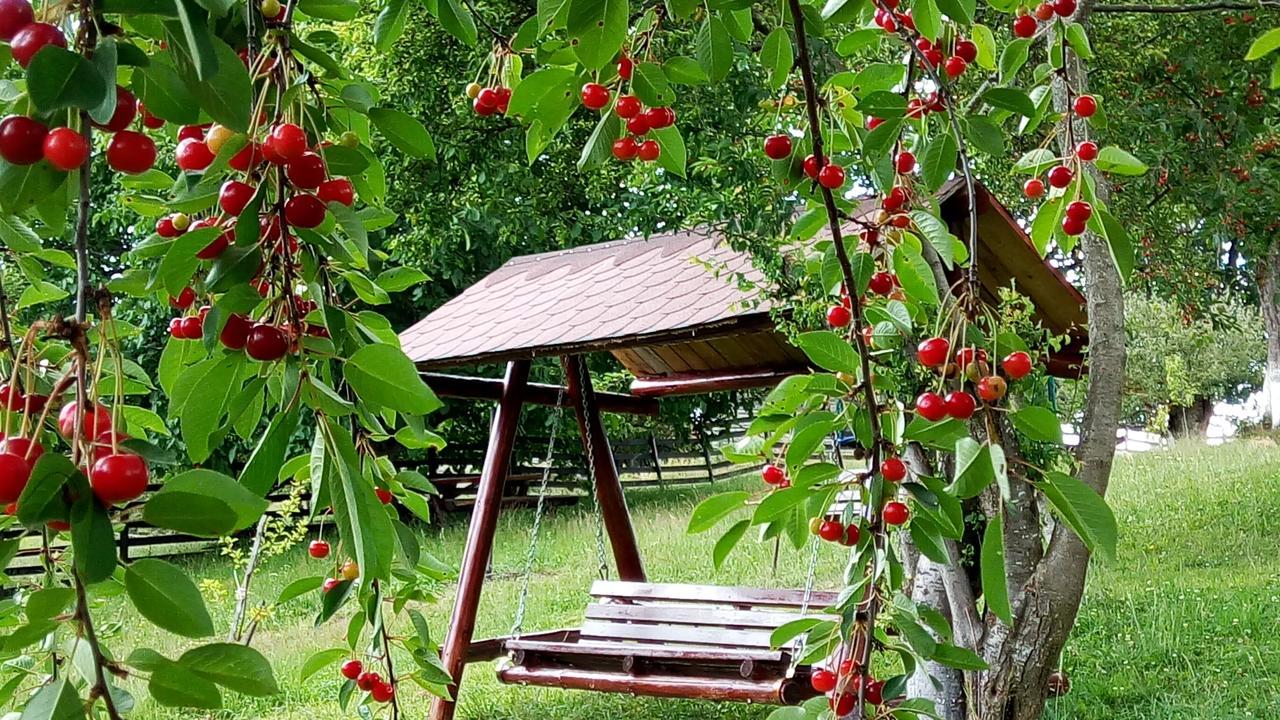 Pensiunea Tabacaru Pestera  Ngoại thất bức ảnh